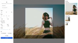 crop-image-editor.jpg crop-image-editor.jpg